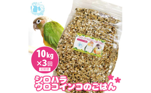【3ヶ月定期便】fuu シロハラインコ・ウロコインコのごはん（10kg）
