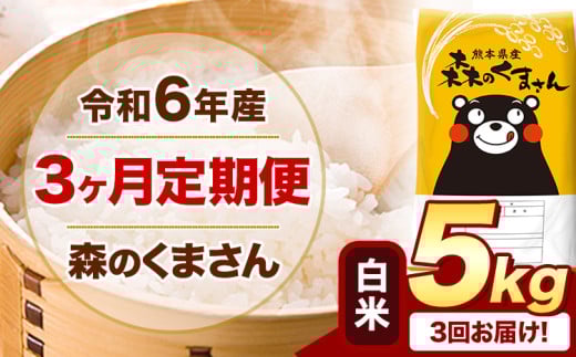 【3ヶ月定期便】令和6年産 白米  森のくまさん 5kg 5kg×1袋  《お申込み月の翌月から出荷開始》 熊本県産 白米 精米 米 こめ コメ お米 kome