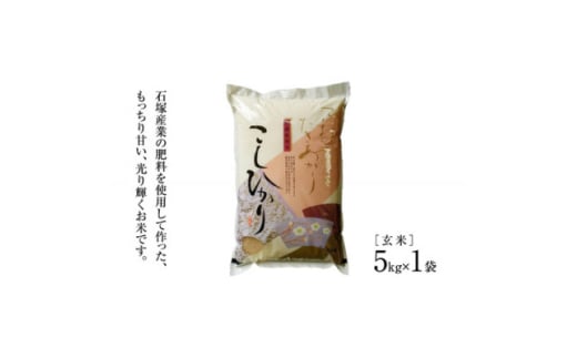 かすみがうら市産コシヒカリ 玄米 5kg【1630960】