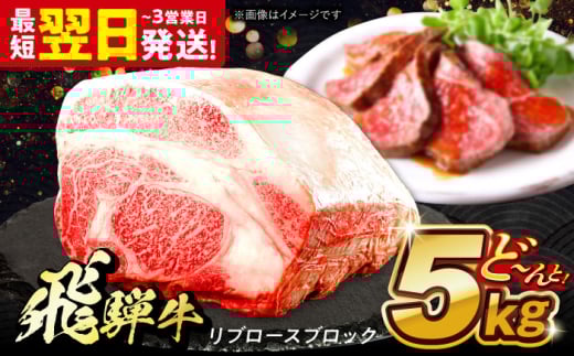 飛騨牛 極上 リブロース ブロック 5kg 多治見市 / 養老ミート 冷凍 和牛 ギフト 