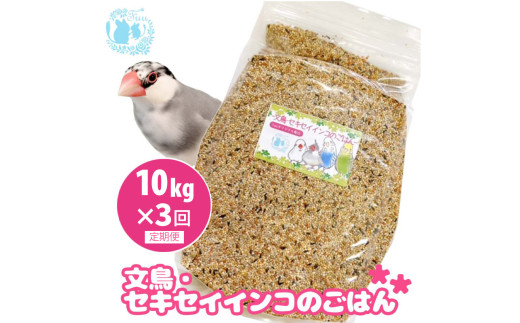 【3ヶ月定期便】fuu 文鳥・セキセイインコのごはん（10kg）