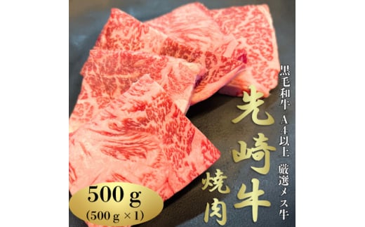 ＜先崎牛＞A4等級以上の希少な厳選メス牛◆ロース焼肉500g【1630453】
