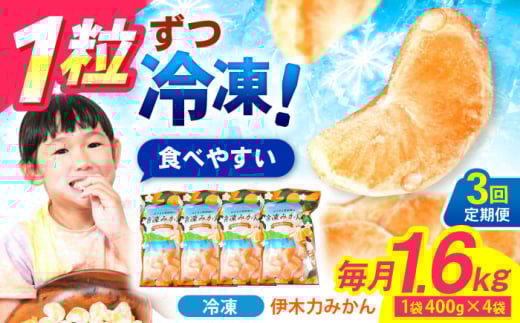 【3回定期便】※【11月より発送／先行予約】 冷凍 伊木力みかん 1.6kg(400g×4) / みかん ミカン 蜜柑 柑橘 フルーツ ふるーつ 果物 くだもの 冷凍 冷凍みかん / 諫早市 / 山野果樹園 [AHCF011]