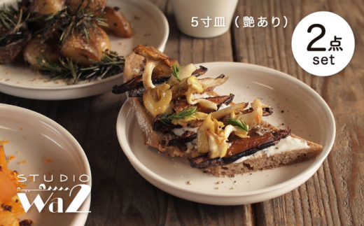 【波佐見焼】KINU 5寸皿 2点セット（艶あり）【studio wani】 [MB77] 2148828 - 長崎県波佐見町