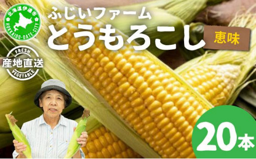 北海道産 とうもろこし 恵味 20本 Lサイズ トウモロコシ とうきび コーン スイートコーン 先行受付 新鮮 朝採り 産地直送 国産 野菜 農作物 甘い めぐみ 人気 BBQ ふじいファーム  送料無料 1265336 - 北海道伊達市
