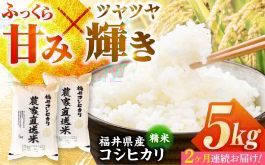 【定期便2回】 【先行予約/9月以降発送】　【令和7年産】 福井県産こしひかり 精米 5kg 小浜市 / シマダ農園 [BFAV009]