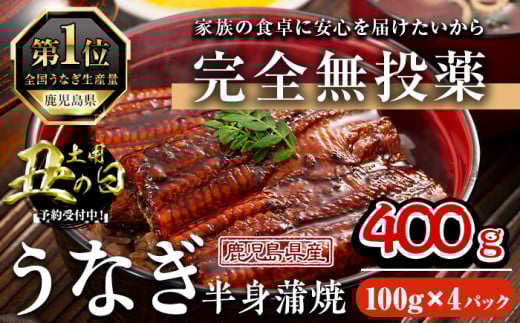 ＜丑の日先行予約受付中！＞鹿児島県産うなぎ半身カットセット (100g×4パック、タレ・山椒付き) 鰻 かばやき 冷凍【西日本養鰻】A585-U 2095364 - 鹿児島県曽於市