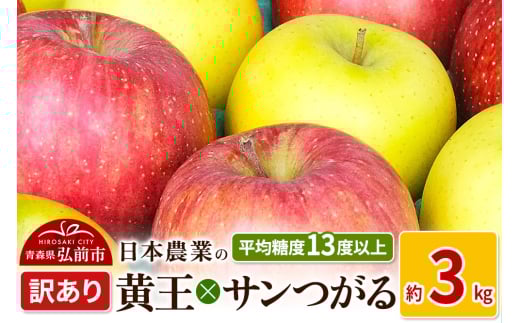 りんご 【先行受付】平均糖度13度以上！ 黄王×サンつがる 約3kg 訳あり