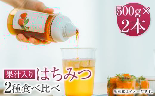 熊本 杉養蜂園 【ゆず蜜×マンゴー】果汁入り はちみつ 500g 2種 計1kg 食べ比べ 蜂蜜 800308 - 熊本県熊本市