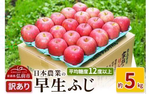 りんご 【先行受付】平均糖度12度以上！ 早生ふじ 約5kg 訳あり 1471664 - 青森県弘前市