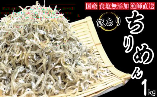 【2025年6月末から順次発送】 ちりめん 訳あり 1kg ちりめんじゃこ 選べる 容量 訳アリ ご飯 米 お米 おにぎり と一緒に 弁当 新鮮 鮮度 カルシウム 食品 健康 栄養 ギフト プレゼント 贈答 お歳暮 徳島 小松島