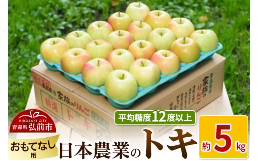 りんご 【先行受付】平均糖度12度以上！ トキ 約5kg おもてなし用 2148962 - 青森県弘前市