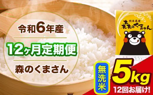 令和6年産 森のくまさん 【12ヶ月定期便】 無洗米 《お申し込み月の翌月から出荷開始》 5kg (5kg×1袋) 計12回お届け 熊本県産 単一原料米 森くま 熊本県 玉東町 2151062 - 熊本県玉東町