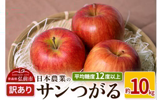 りんご 【先行受付】平均糖度12度以上！ サンつがる 約10kg 訳あり クール便 685573 - 青森県弘前市