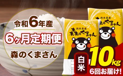 令和6年産 森のくまさん 白米 10kg 5kg×2袋 計6回お届け 《お申し込み月の翌月から出荷開始》 お米 こめ 熊本県産 ご飯 備蓄