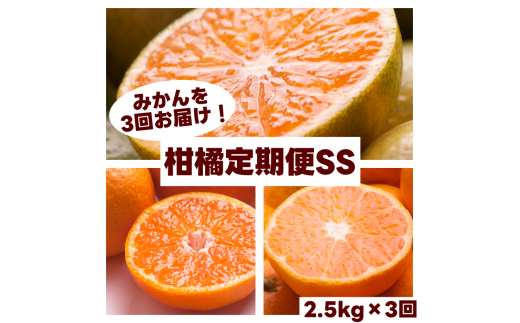 柑橘 定期便 SS【全3回】厳選【 和歌山県 有田 】 ※北海道・沖縄・離島への配送不可 / 定期便 フルーツ ゆら早生みかん 有田みかん 3回 2150151 - 和歌山県広川町