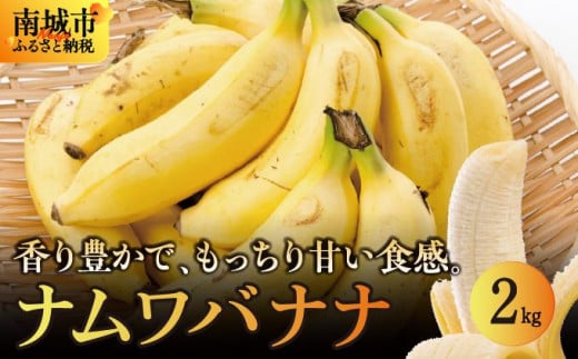 バナナ 南城市 ナムワバナナ 2kg