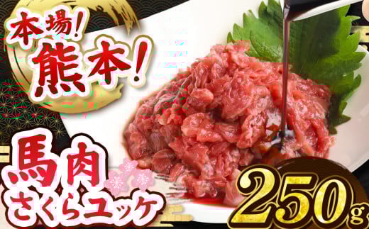 馬肉さくらユッケ 250g ( 50g × 5 ) | 熊本県 熊本 くまもと 和水町 なごみ 馬肉 馬 肉 にく ユッケ 一品 おまかせ 日本原産 国内肥育 冷凍