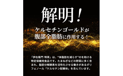 神奈川県綾瀬市のふるさと納税 伊右衛門 特茶 ジャスミン 500ml × 48本(2ケース) サントリー 特定保健用食品 トクホ お茶 ジャスミン茶 ジャスミンティー ペットボトル 500 茶 トクホ茶 飲料 飲み物 ドリンク ペットボトル飲料 防災備蓄 箱 ケース 脂肪 体脂肪 減らす 神奈川 綾瀬市