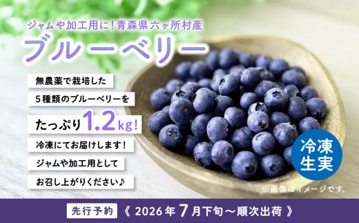 青森県六ヶ所村のふるさと納税 《先行予約 2026年7月下旬～順次出荷》冷凍ブルーベリー300g×4袋