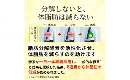 神奈川県綾瀬市のふるさと納税 伊右衛門 特茶 ジャスミン 500ml × 48本(2ケース) サントリー 特定保健用食品 トクホ お茶 ジャスミン茶 ジャスミンティー ペットボトル 500 茶 トクホ茶 飲料 飲み物 ドリンク ペットボトル飲料 防災備蓄 箱 ケース 脂肪 体脂肪 減らす 神奈川 綾瀬市