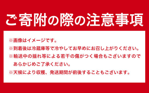 アイテムID:413105の画像5枚目