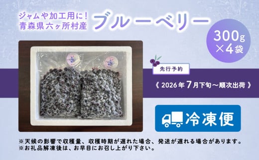 青森県六ヶ所村のふるさと納税 《先行予約 2026年7月下旬～順次出荷》冷凍ブルーベリー300g×4袋