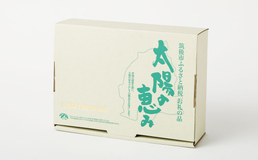 クロレラセオリー 900粒（200mg×300粒×3袋）2箱