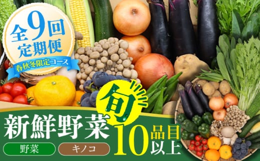 [春秋冬限定コース]野菜 キノコ 10品目以上 詰め合わせ 9回定期便 / 野菜定期便 やさい定期便 野菜セット きのこ セット 野菜詰め合わせ / 南島原市 / 吉岡青果 