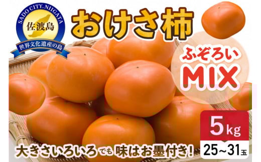 【先行予約】ふぞろいmixおけさ柿　約5kg（25～31個）（家庭用） 1336146 - 新潟県佐渡市