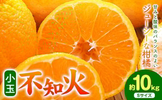 先行予約 小玉 不知火 ( デコポン )と同品種 約10kg 長岡農園《2026年3月中旬-4月下旬頃出荷》和歌山県 日高川町 果物 フルーツ 柑橘 不知火 しらぬい 小玉 送料無料