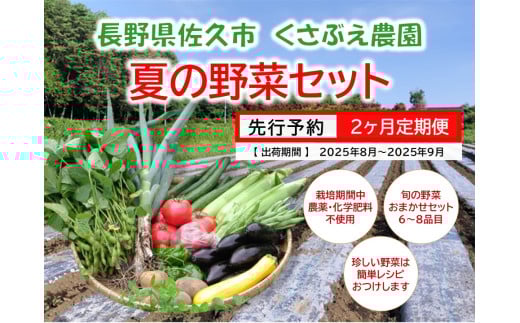 【2ヶ月定期便】くさぶえ農園『夏の野菜6～8品目セット』（2025年8～9月出荷／北海道・沖縄・離島は配送不可）高原 無農薬 産地直送 新鮮 旬彩 簡単レシピ 先行予約【 産直 高原野菜 季節の野菜 旬の野菜 有機野菜 有機栽培 農薬 化学肥料 不使用 佐久市 】 1410216 - 長野県佐久市
