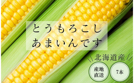 [2025年8月中旬より発送]とうもろこし(あまいんです)7本セット!