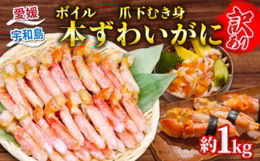 ＼10営業日以内発送／ カニ 蟹 訳あり ボイル 本ずわいがに 爪下むき身  約 1kg 本ズワイガニ ニューバーク kani 冷凍 訳アリ わけあり 訳あり品 ずわいがに カニ ズワイガニ ずわい蟹 ズワイ蟹 蟹 カニ脚 蟹脚 カニ棒肉 蟹 カニしゃぶ 人気のカニ ポーション 人気 カニ鍋 蟹鍋 鍋 愛媛 宇和島 D016-116019 2155413 - 愛媛県宇和島市