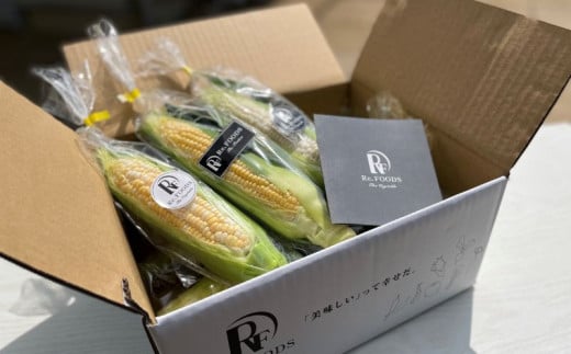 とうもろこし 白 ＆ 黄色 8本 食べ比べ ホワイトコーン ホワイト コーン スイートコーン 2025年6月下旬発送開始 新鮮 旬 野菜 やさい 夏野菜 朝採り とうきび BBQ バーベキュー 数量限定 季節限定 送料無料 産地直送 冷蔵 千葉県 旭市 Re.FOODS The Morokoshi 株式会社はなわ農園 hnw012