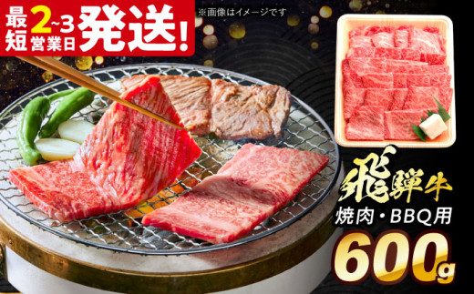 飛騨牛 焼肉 BBQ用 600ｇ 多治見市 / 養老ミート 冷凍 ロース 肩ロース 和牛 ギフト [THG016] 2148121 - 岐阜県多治見市
