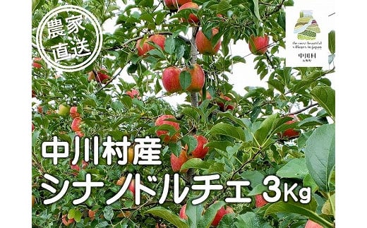担当者おすすめ「味覚の里なかがわ」の旬のくだもの（シナノドルチェ３Kg箱）９月10～20日発送予定