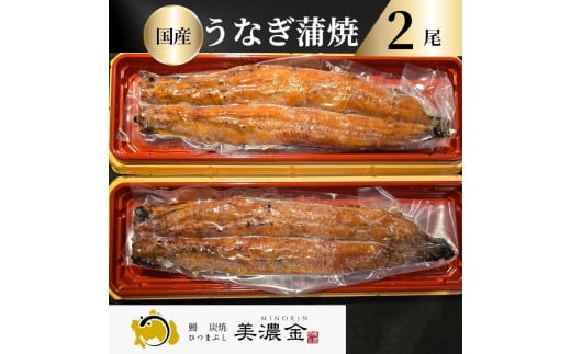 1036 美濃金 神田本店 炭焼 国産うなぎ蒲焼2尾 2155455 - 岐阜県各務原市