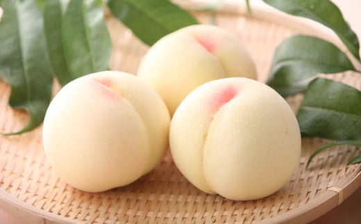 岡山県産 白桃 約2kg （6～8玉） 【2025年7月上旬～8月上旬発送予定】 ／ 桃 もも 果物 果実 フルーツ スイーツ デザート 岡山県 美咲町 冷蔵