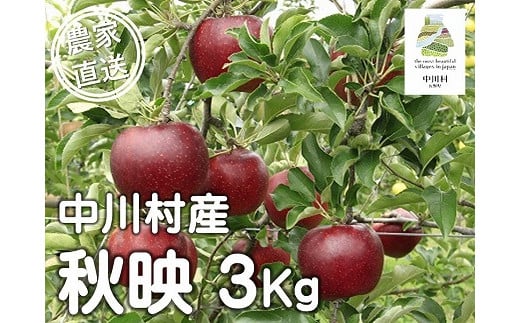 担当者おすすめ「味覚の里なかがわ」の旬のくだもの（秋映３Kg箱）10月１～15日発送予定
