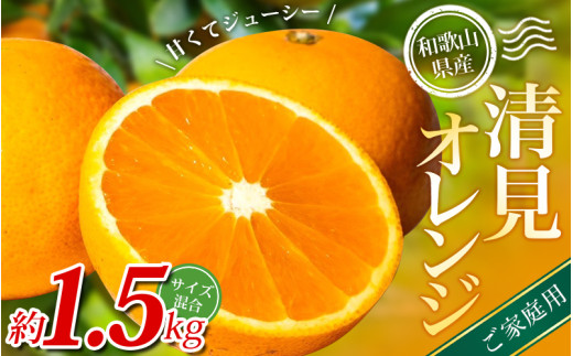 [家庭用] 森本農園の手選別 清見オレンジ 約1.5kg 和歌山県産 サイズ混合 ※2026年2月上旬〜5月中旬頃順次発送 / きよみ 清見 柑橘 ご家庭用 期間限定 由良町 果物 フルーツ 和歌山県[mrmt021A]