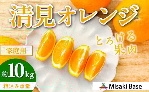 【先行受付】【家庭用】清見オレンジ 10kg ※離島への配送不可 （2026年3月中旬より順次発送）  【 ふるさと納税 人気 おすすめ ランキング みかん 柑橘 ミカン 蜜柑 mikan 果物 清見 清見オレンジ フルーツ 糖度 甘い きよみ タンゴール 温州 オレンジ 家庭用 おすそ分け Misaki Base 愛媛県 伊方町 送料無料 】 IKTAB008  2096233 - 愛媛県伊方町