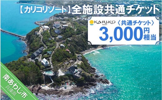【カリコリゾート】全施設共通チケット 3,000円相当