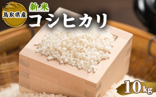 ＜2025年9月下旬～2026年8月下旬発送予定＞＜数量限定＞令和7年産新米鳥取県産コシヒカリ(10kg) 【sm-DD065】【Workplays】 2144781 - 鳥取県境港市