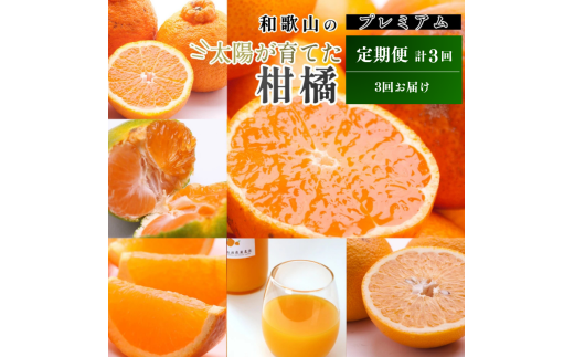 【7～9月】柑橘 定期便 M【全3回】【和歌山】 ※北海道・沖縄・離島への配送不可 / 定期便 フルーツ はっさく せとか 不知火 清見オレンジ カラマンダリン みかんゼリー ハウスみかん ゆら早生 有田みかん  //teiki 2151066 - 和歌山県広川町