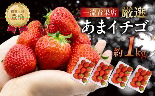 ≪先行予約≫ 厳選 あまイチゴ 約1kg パックいちご いちご イチゴ 苺 甘い 高糖度 糖度 フルーツ 果物 旬 旬の果物 旬のフルーツ おやつ ビタミン いちご狩り イチゴジャム 紅ほっぺ または あきひめ 愛知県 豊橋市 1万円 10000