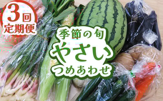 【定期便3回】下野市産 季節の旬野菜詰め合わせ | 定期便 旬野菜 詰め合わせ 野菜セット 地元野菜 栃木県産 新鮮野菜 産地直送 野菜通販 無農薬野菜 季節野菜 朝採れ野菜 地場野菜 お取り寄せ 下野市野菜 野菜詰合せ 有機野菜 地元農家 栃木野菜 栃木県 下野市