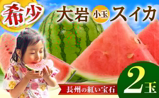甘くて 果肉 たっぷり！ 大岩 こだま スイカ 2玉 「 神秘の里 大岩郷 よりお届け 長州の紅い宝石 」 先行予約 ＜ 2025年 7月下旬 ～ 8月頃 発送予定 ＞ | スイカ 小玉 小玉スイカ ブランド フルーツ 夏 果物 果実 山口 美祢 期間限定 2087401 - 山口県美祢市