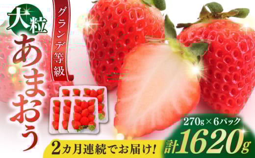 【全2回定期便】【2026年3月初旬より順次発送】 あまおう いちご 1620g (約270g×6パック) 吉富町/株式会社HSP-テクノ [BGBQ004]
