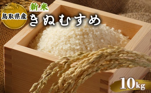 ＜2025年10月中旬～2026年8月下旬発送予定＞＜数量限定＞令和7年産新米鳥取県産きぬむすめ(10kg)【sm-DD067】【Workplays】 2144779 - 鳥取県境港市